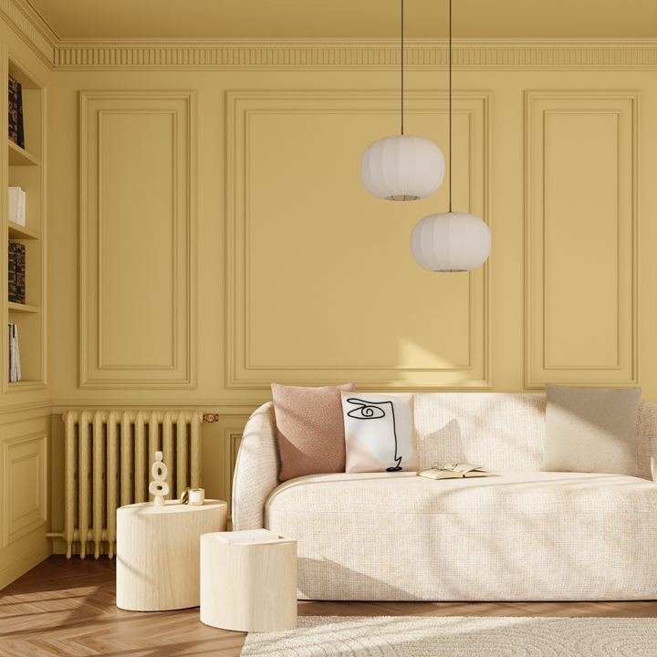 EXPRESSION Peinture Expression Cumin Satiné 0,5L