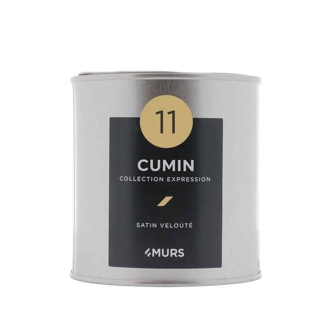 Expression Peinture Finition Peinture cumin Satiné 0,5 L