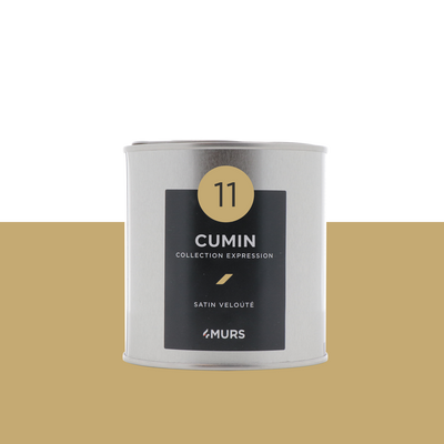 EXPRESSION Peinture Expression Cumin Satiné 0,5L