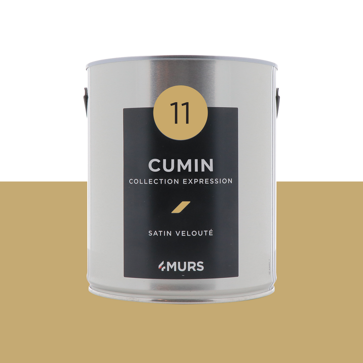 EXPRESSION Peinture Expression Cumin Satiné 2,5L