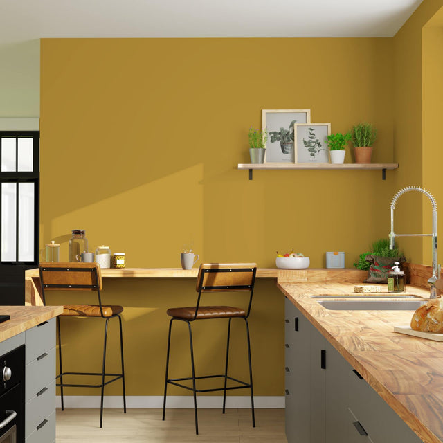 Expression Peinture Multi-supports Peinture curry Satiné