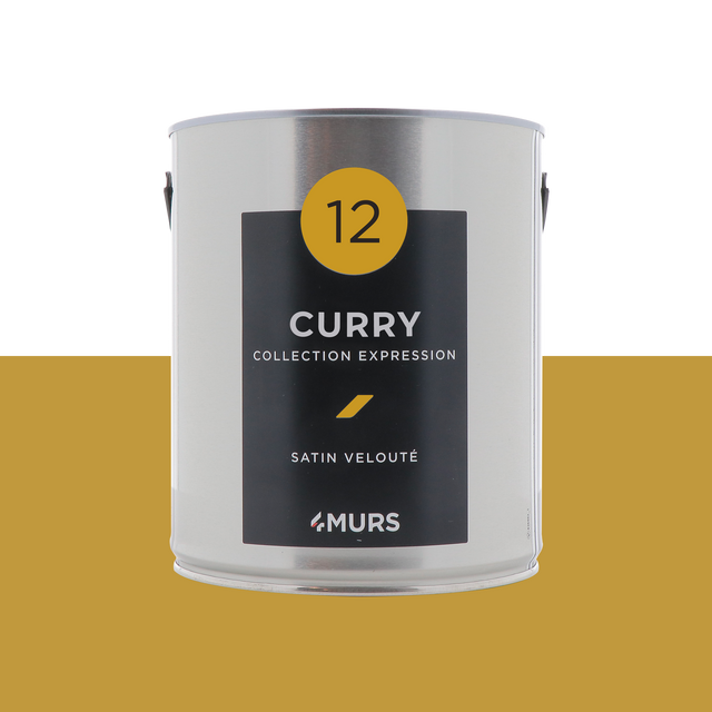 Expression Peinture Multi-supports Peinture curry Satiné