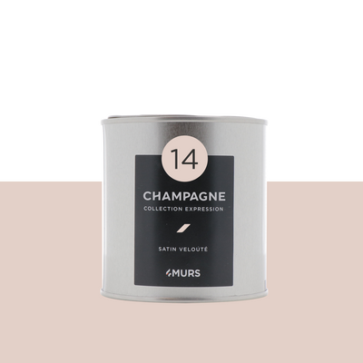 EXPRESSION Peinture Expression Pink champagne Satiné 0,5L