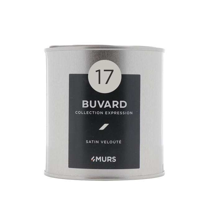 Expression Peinture Finition Peinture buvard Satiné 0,5 L