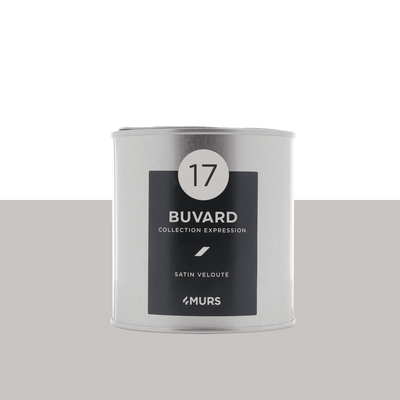 EXPRESSION Peinture Expression Buvard Satiné 0,5L