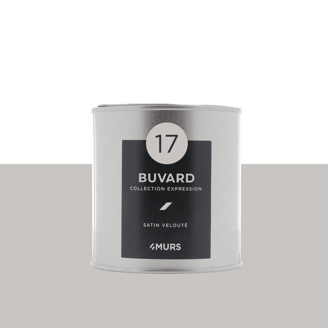 Expression Peinture Finition Peinture buvard Satiné 0,5 L