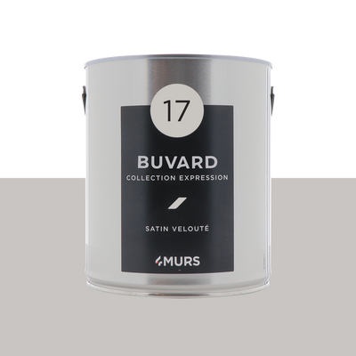 EXPRESSION Peinture Expression Buvard Satiné 2,5L