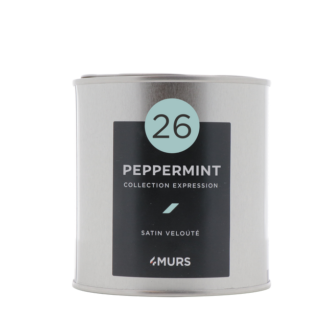 Expression Peinture Finition Peinture peppermint Satiné 0,5 L