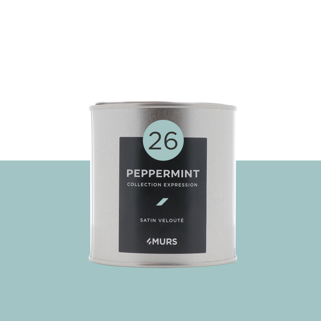 Expression Peinture Finition Peinture peppermint Satiné 0,5 L