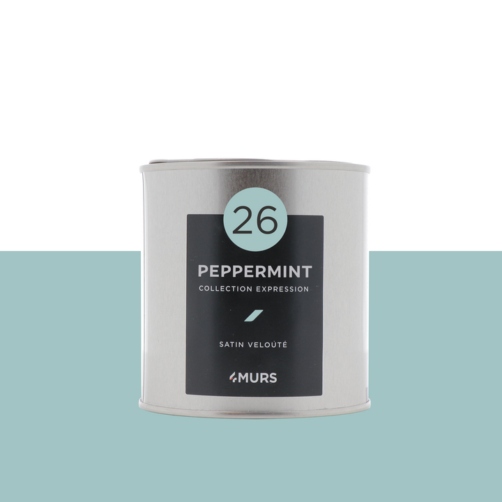 EXPRESSION Peinture Expression Peppermint Satiné 0,5L