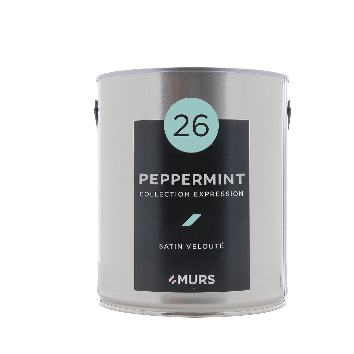 EXPRESSION Peinture Expression Peppermint Satiné 2,5L
