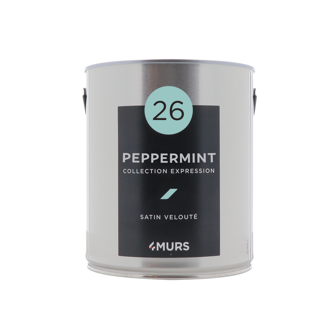 Expression Peinture Multi-supports Peinture peppermint Satiné