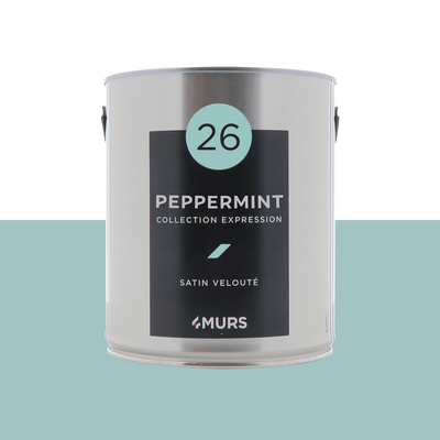 EXPRESSION Peinture Expression Peppermint Satiné 2,5L