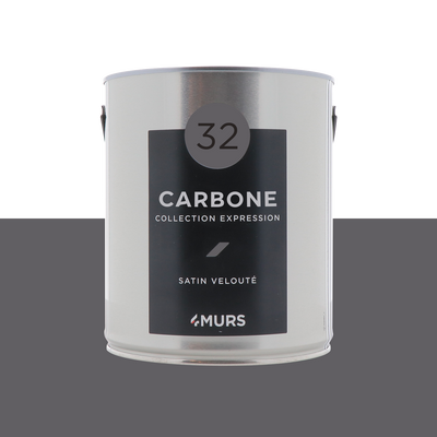 EXPRESSION Peinture Expression Carbone Satiné 2,5L