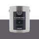 EXPRESSION Peinture Expression Carbone Satiné 2,5L