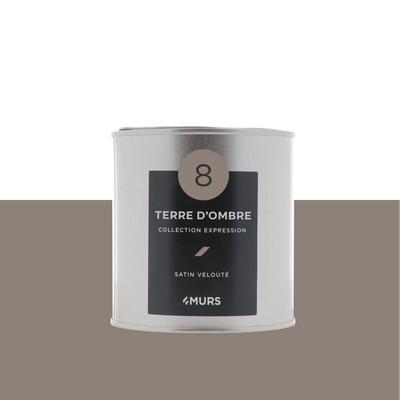 EXPRESSION Peinture Expression Terre d'ombre Satiné 0,5L