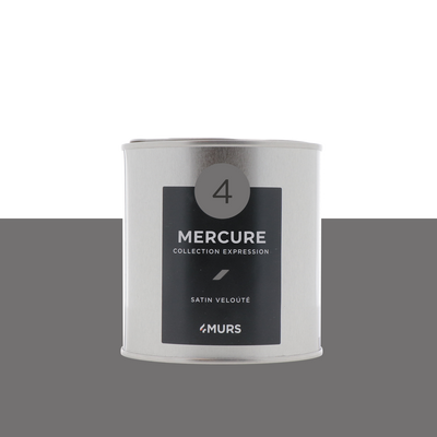 EXPRESSION Peinture Expression Mercure Satiné 0,5L