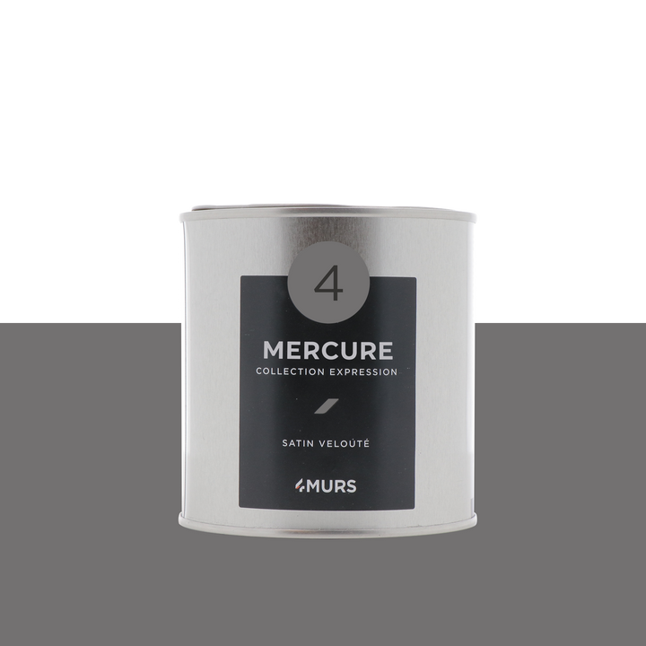 EXPRESSION Peinture Expression Mercure Satiné 0,5L