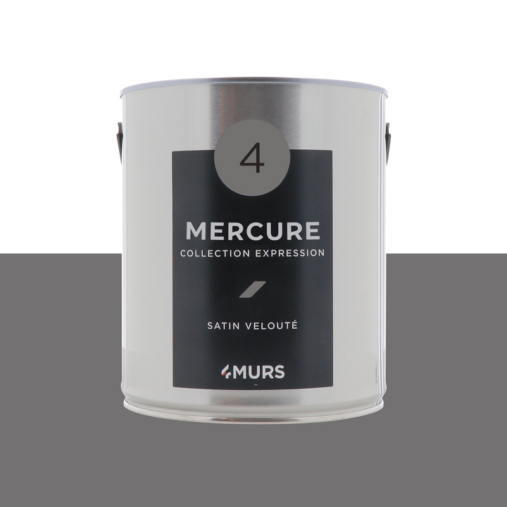 EXPRESSION Peinture Expression Mercure Satiné 2,5L