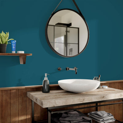 CIRCOULEUR Peinture Circouleur Paon Satiné 2,5L