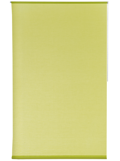 Store enrouleur Easy roll tamisant Vert fougère