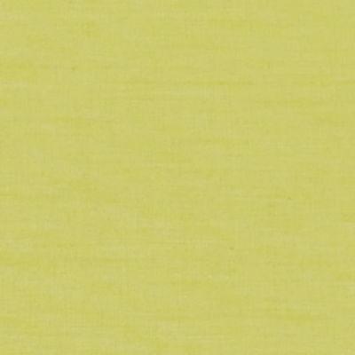 Store enrouleur EASY ROLL TAMISANT vert fougère 107 x 170 cm