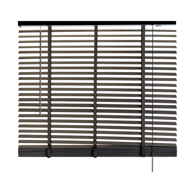 Store vénitien RIALTO coloris anthracite 140 x 175 cm