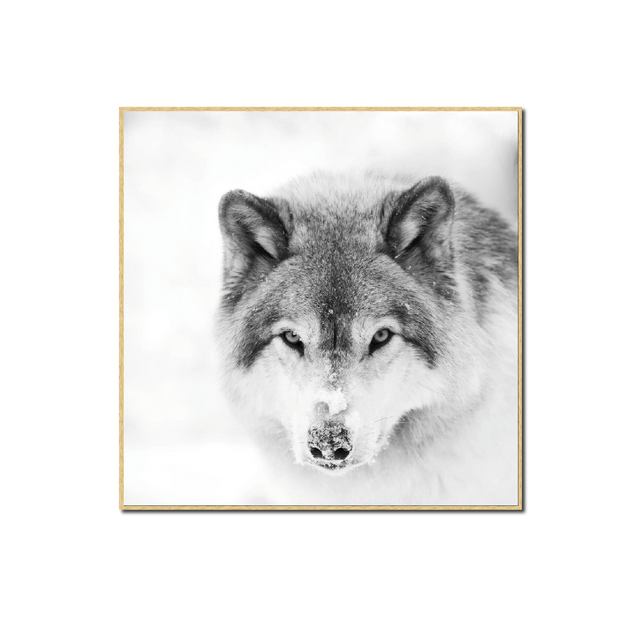 4MURS Tableau SNOW WOLF 40 x 40 cm