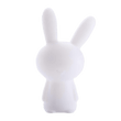 LUMINUS RABBIT X BIG BEN
