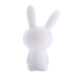 LUMINUS RABBIT X BIG BEN