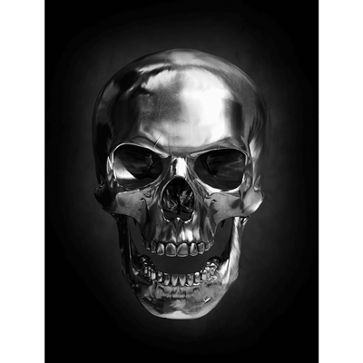 4MURS Toile imprimée Dark skull Noir