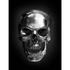 DARK SKULL