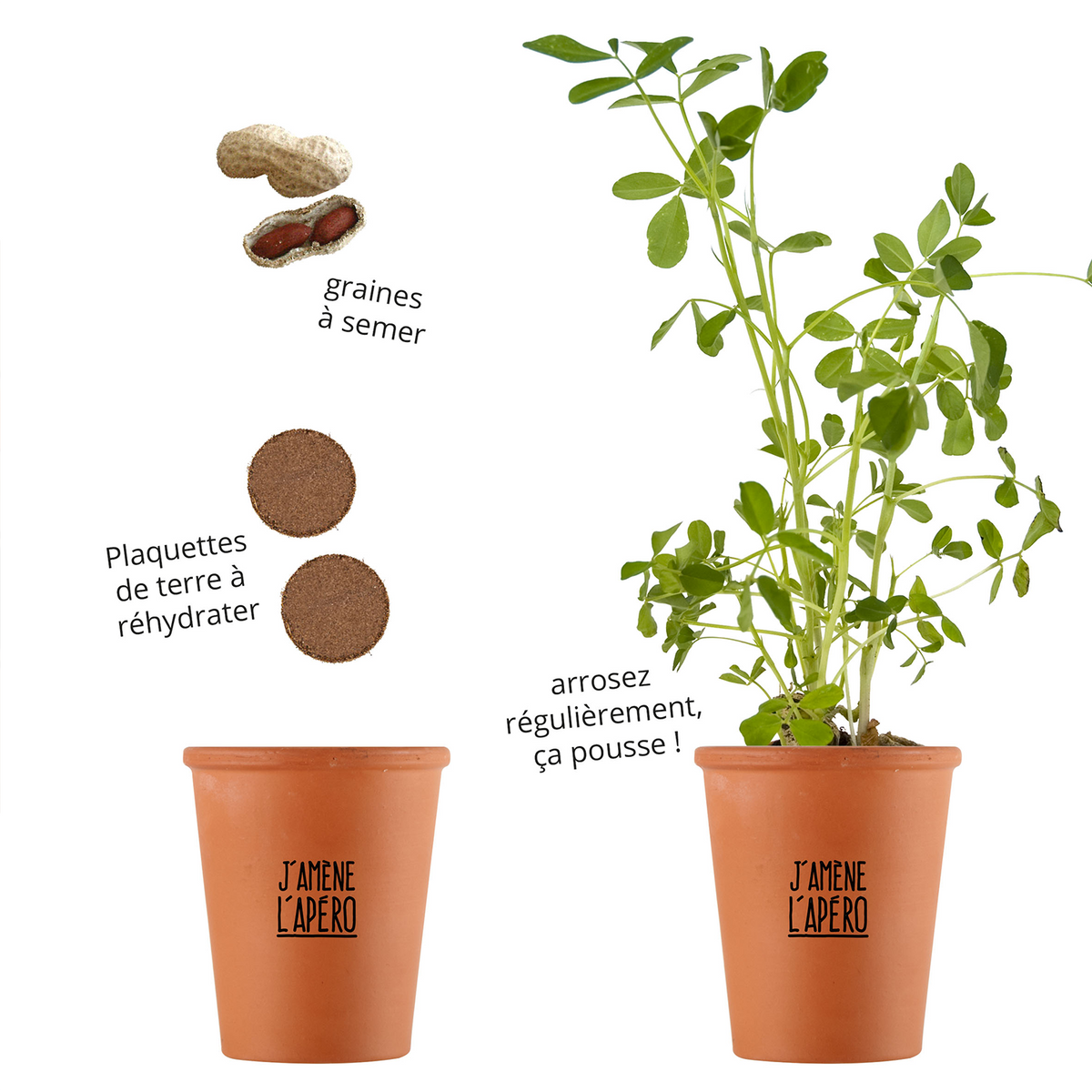 RADIS ET CAPUCINE Kit J'amene l'apero 