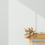 ABSOLU - 4MURS Staging