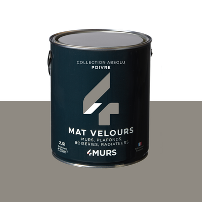 ABSOLU Peinture Absolu Poivre Mat 2,5L