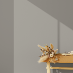 ABSOLU - 4MURS Staging