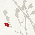 AUDACE - 4MURS Staging