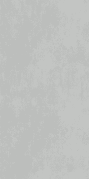 4MURS Papier peint intissé Classic line Gris perle Lisse