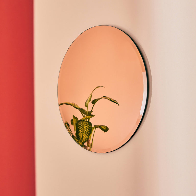 Reflet d'une plante dans un miroir rond teinté rose aux bords biseautés