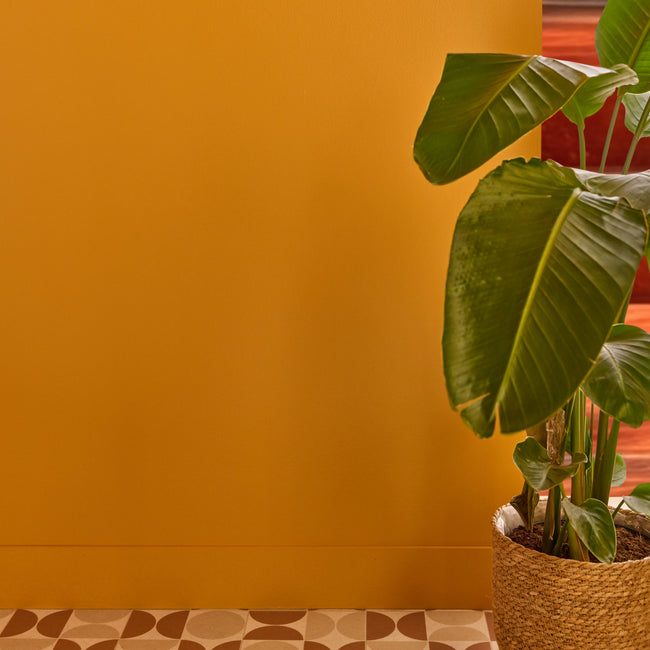 Grande plante verte devant un mur peint en jaune ocre