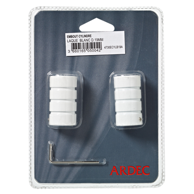 Embout Howlite Blanc brillant Brillant