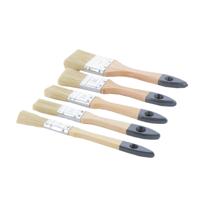Lot de 5 pinceaux 