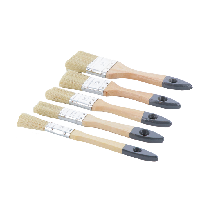 Lot de 5 pinceaux 