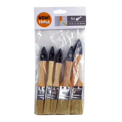 Lot de 5 pinceaux 