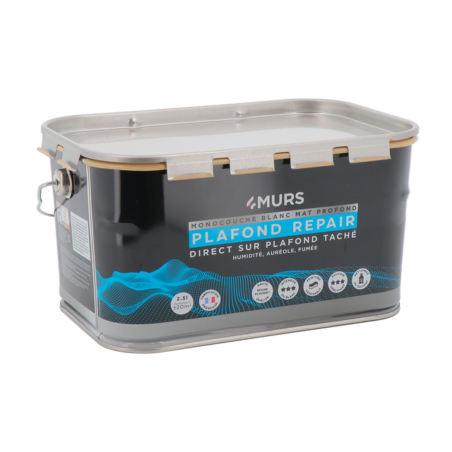 4MURS Peinture MONOCOUCHE PLAFONDS TACHES Peinture blanc