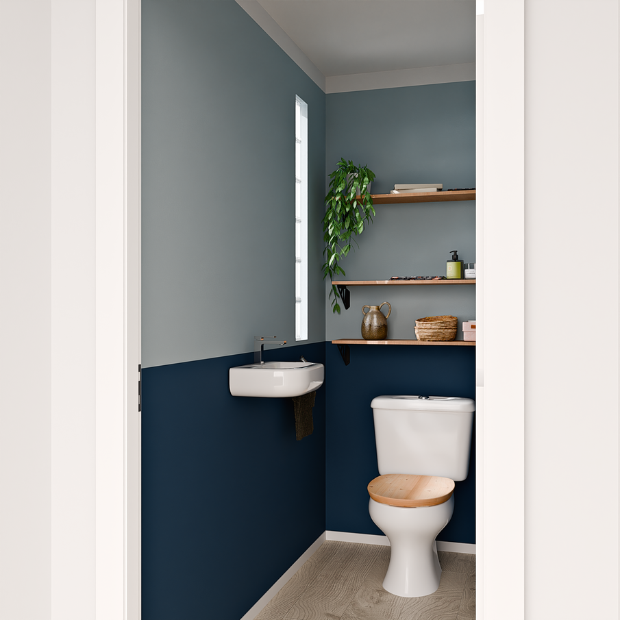 Toilettes dans les tons bleus