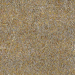 PALAZZO - 4MURS Staging