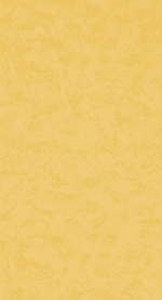 RAVENNE - 4MURS Staging