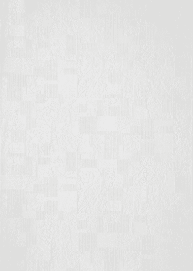 Fibre à peindre expansée sur intissé SILLO