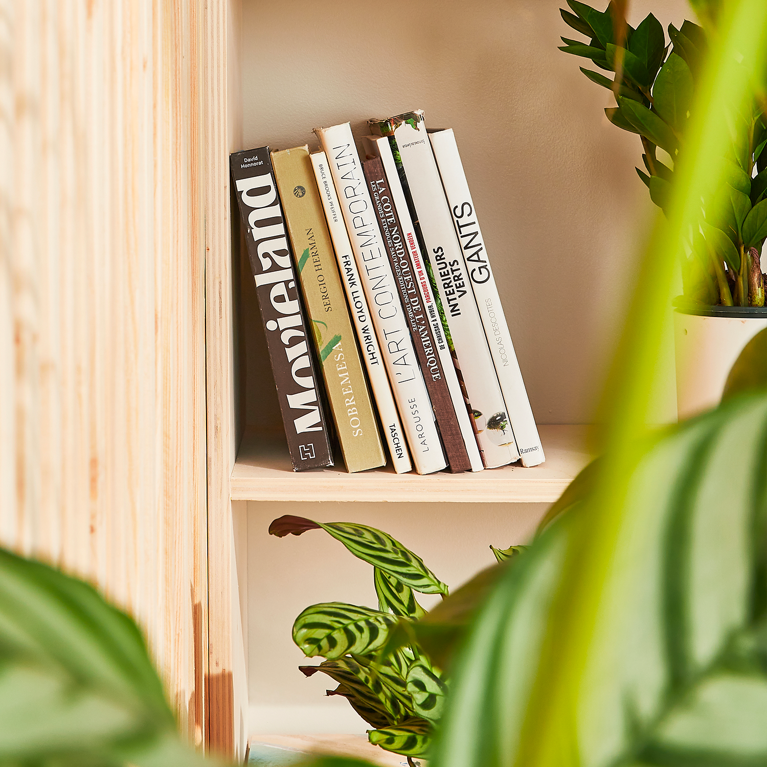 Zoom sur livres dans étagère entourée de plantes vertes